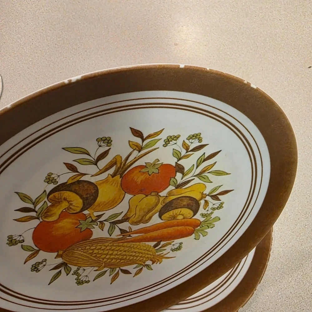 Genuine Melamine Dinner Plates 10